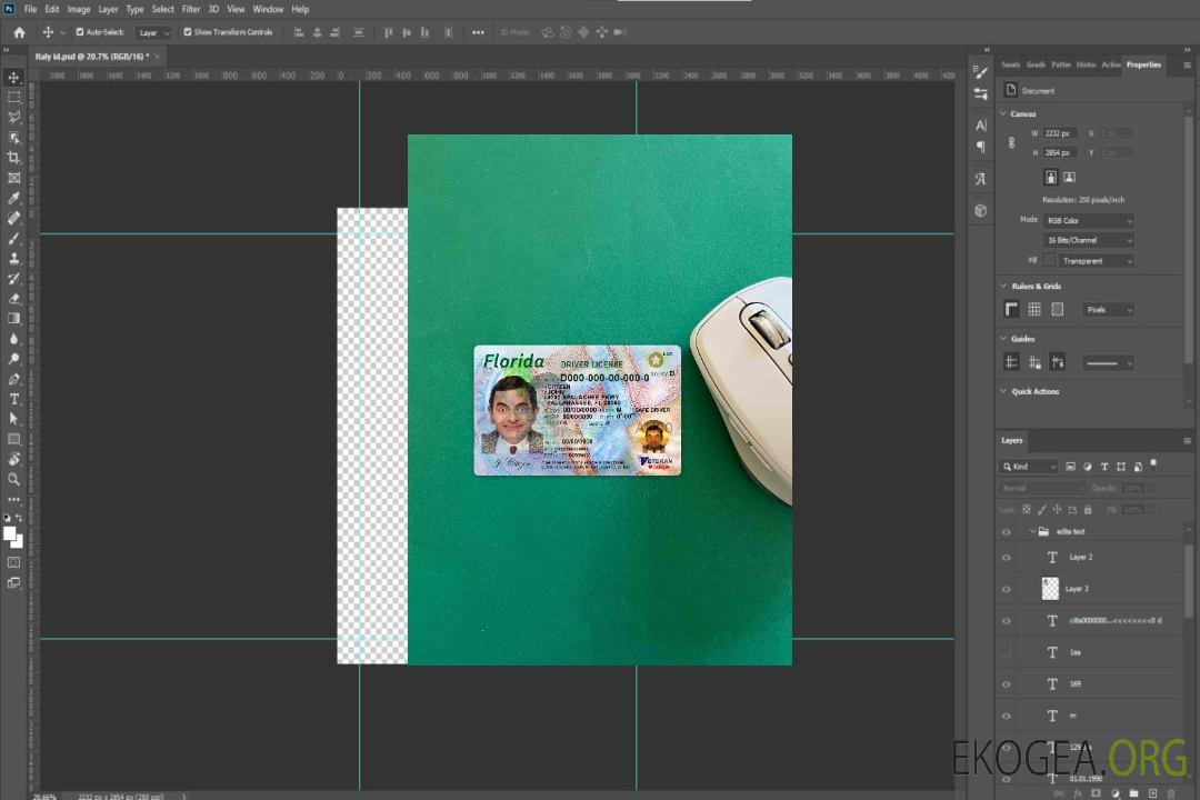 USA Floride DL photolook AVANT template USA Floride DL photolook AVANT template